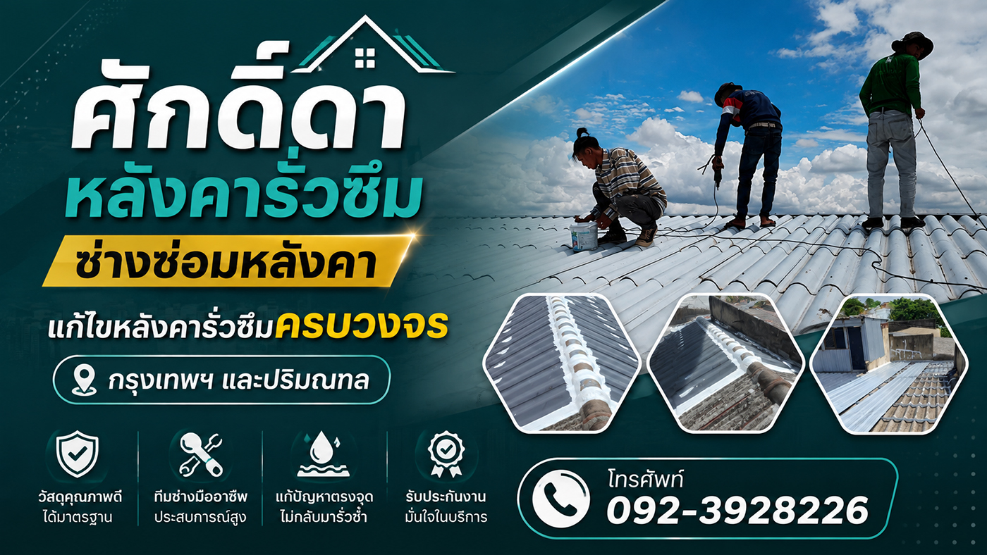 ศักดิ์ดาหลังคารั่วซึม