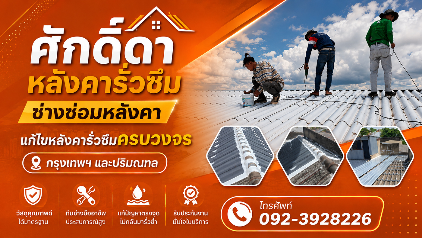 ศักดิ์ดาหลังคารั่วซึม