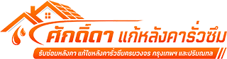 ศักดิ์ดาหลังคารั่วซึม